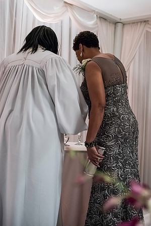 Wilkins Simpson Wedding 01172015 (91)