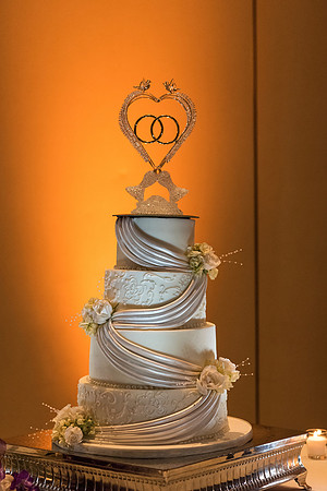 gaylord-palms-wedding-julie-and-sean-hero 1068