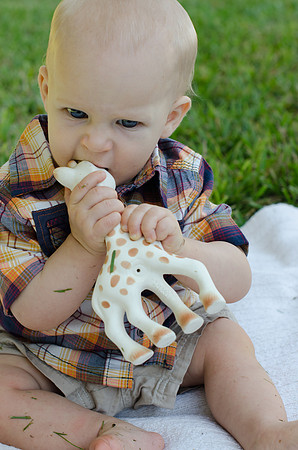 HudsonLuke9months-54