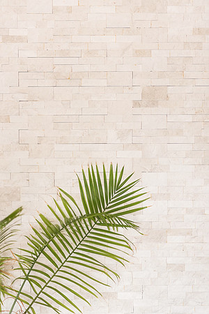 positive-steps-branding-photos-2021 1084final
