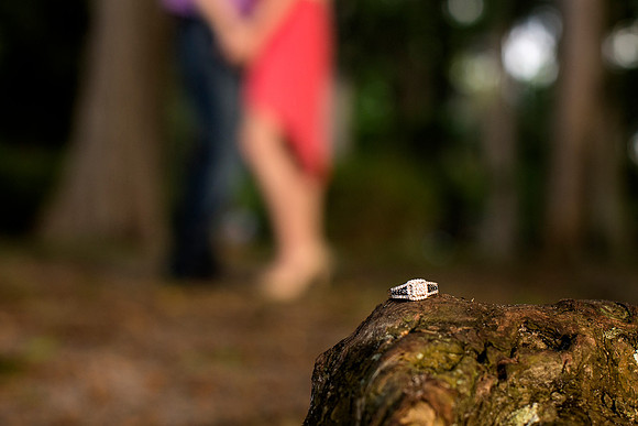 ©Sophia's Art Photography, 2014