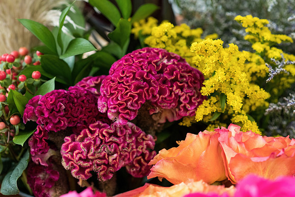 Flower Cart August 2022 0089
